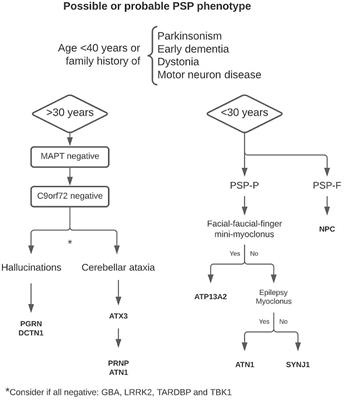 Genotype–Phenotype Correlation in Progressive Supranuclear Palsy Syndromes: Clinical and Radiological Similarities and Specificities